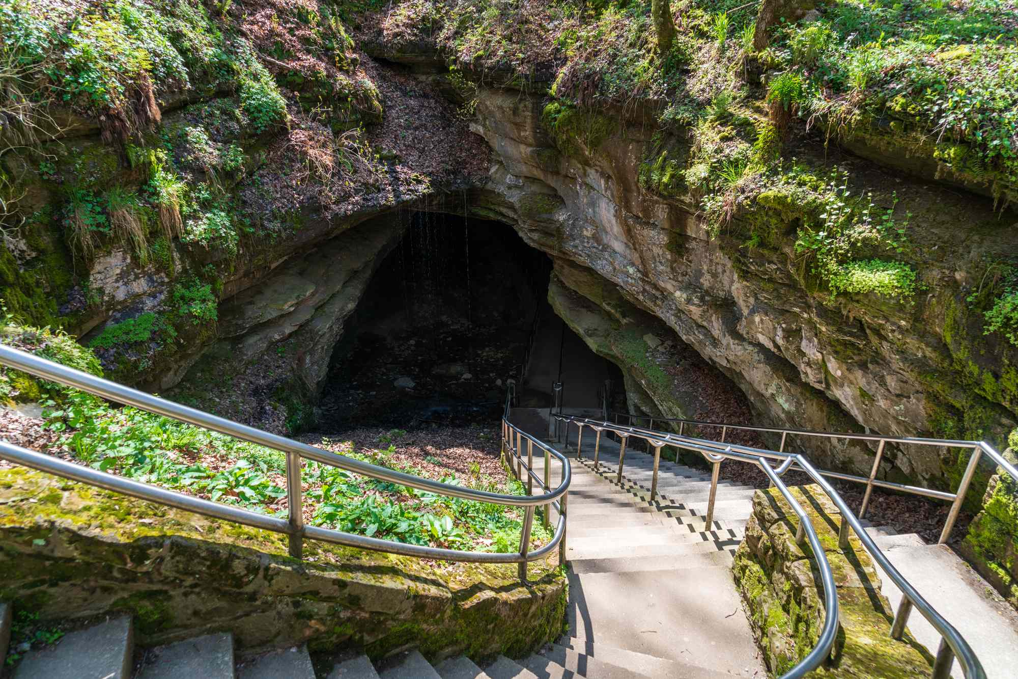 This National Park Is Home to the Longest Cave in the World—and Only 426 Miles Have Been Explored So Far #Travel Here’s how to plan a trip to Mammoth Cave National Park. This National Park Is Home to the Longest Cave in the World—and Only 426 Miles Have Been Explored So Far #Travel Here’s how to plan a trip to Mammoth Cave National Park.