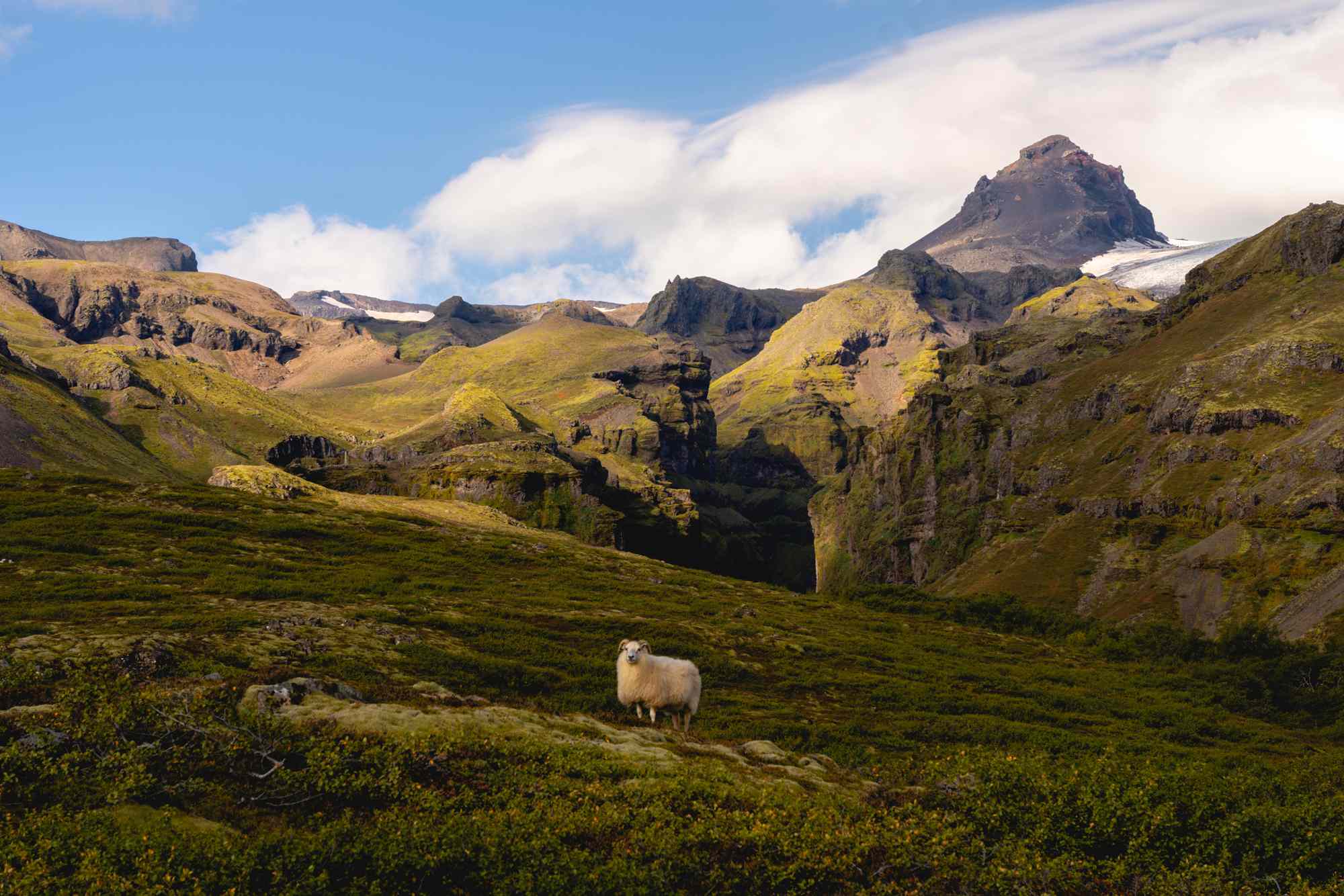 25 of the Best Things to Do in Iceland #Travel From visiting glacier lagoons to hiking a volcano, experts recommend how to explore the Nordic country.