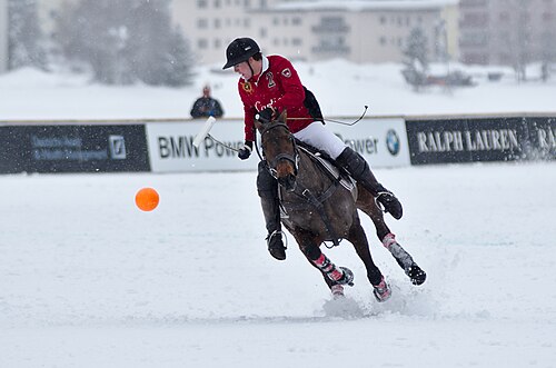 Picture of the day





30th St. Moritz Polo World Cup on Snow
 #ImageOfTheDay
