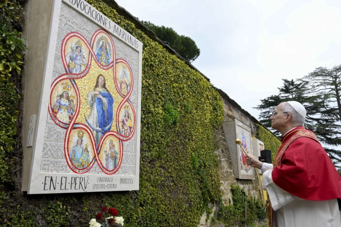 Pope Leo XIV approves new statutes of Pontifical International Marian Academy – #Catholic – Pope Leo XIV approved the new statutes of the Pontifical International Marian Academy, an organization founded 80 years ago to promote and coordinate Mariological and Marian studies worldwide.According to the Vatican Press Office, the Holy Father approved the new statutes during an audience with Archbishop Edgar Peña Parra, substitute for general affairs of the Secretariat of State.The updating of the statutes is intended to adapt the academy’s organization to the development of its mission and to the current structure of the institutions of the Roman Curia.The Pontifical International Marian Academy was founded in 1946 by the Order of Friars Minor together with the Franciscan Marian Commission, institutions entrusted to the direction of the priest who inspired them, Father Charles Balić, then-rector magnificus (highest official) of the Pontifical Antonianum University and holder of the chair of Mariology.Since 1950, the Holy See has entrusted the Marian Academy with the organization of the International Mariological-Marian Congresses.In 1959, Pope John XXIII, recognizing that the academy, through its activities, had contributed to the progress of Marian doctrine and piety, added the title of “Pontifical.”Originally dependent on the Congregation for the Doctrine of the Faith, it now falls under the Dicastery for Culture and Education, following the reform implemented by Pope Francis with the apostolic constitution Praedicate Evangelium.The new statutes consist of a preamble and 22 articles. Article 4 specifies that the academy “has the task of promoting and supporting Mariological-Marian research at all levels and of coordinating its studies within the context of an ever-renewed evangelization, taking into account the language of different cultures and the Marian manifestations specific to each people,” with a view to fostering “sound popular piety and avoiding any form of maximalism or minimalism.”The academy’s ordinary members cannot exceed 90 in number and may include nonbelievers and representatives of other religions and other Christian communities.The academy is headed by the president, appointed by the pope, assisted by the council, which in turn is composed of the secretary, the treasurer — these two appointed by the minister general of the Order of Friars Minor — the director of the office of promotion and development, and seven members elected from among the ordinary members.The appointment of ordinary members requires authorization from the Secretariat of State. Upon reaching the age of 75, they become emeritus members.This story was first published by ACI Prensa, the Spanish-language sister service of EWTN News. It has been translated and adapted by EWTN News English.