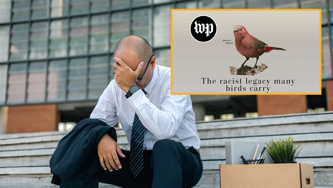Sad: With Washington Post Cutbacks, No One Keeping Track Of How Racist The Birds Are Getting #BabylonBee – U.S. — In a deep loss for the nation, the mass layoffs at The Washington Post have left no one to monitor how racist birds are becoming.
