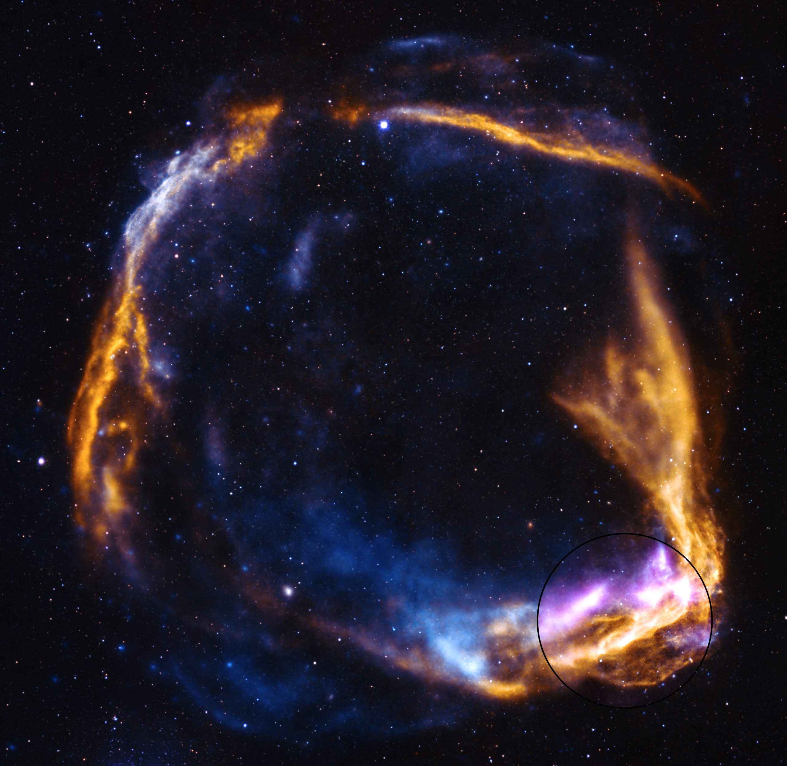 NASA’s IXPE Gets Fresh Look at Supernova – NASA’s IXPE observed the outer rim of the supernova remnant highlighted in purple in the inset. Data from IXPE is combined with data from NASA’s Chandra X-ray Observatory and ESA’s XMM-Newton.