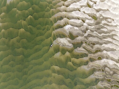 Picture of the day





Fishermen fishing in the chars (shifting sediment islands) of the river Padma in Rajshahi District, Bangladesh. The chars are being frequently visible as the river is drying up. Today is the International Day of Action for Rivers.
 #ImageOfTheDay