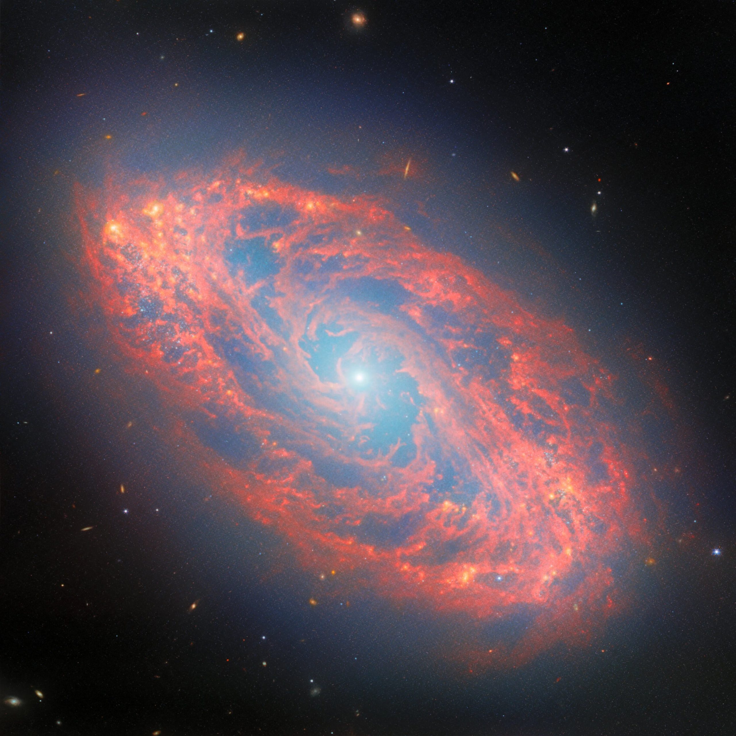 Webb Spots Details in Nearby Spiral Galaxy – Two powerful instruments of the NASA/ESA/CSA James Webb Space Telescope joined forces to create this scenic galaxy view. This spiral galaxy is named NGC 5134, and it’s located 65 million light-years away in the constellation Virgo.