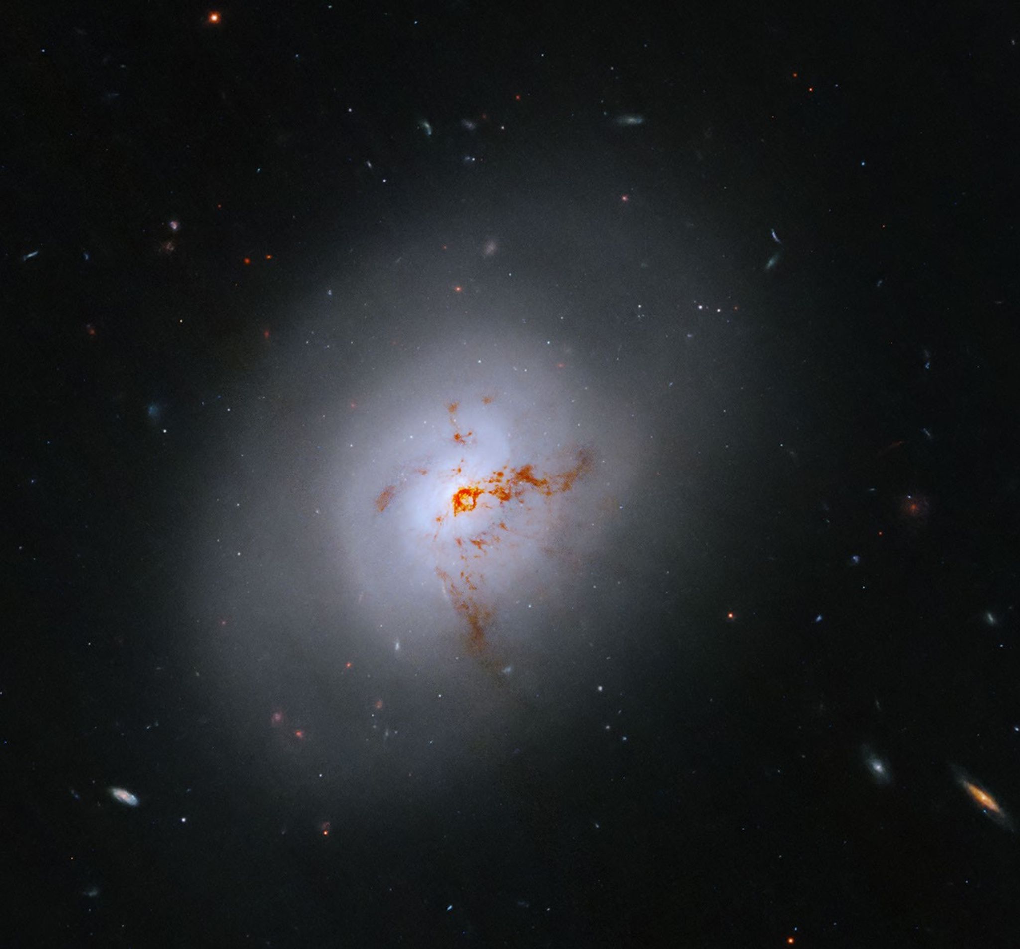 Hubble Sights Galaxy in Transition – This NASA Hubble Space Telescope images reveals the lenticular galaxy, NGC 1266. This enigmatic post-starburst galaxy has a bright center and a face that hints at spiral structure, yet it holds no discernable spiral arms. Hubble Sights Galaxy in Transition – This NASA Hubble Space Telescope images reveals the lenticular galaxy, NGC 1266. This enigmatic post-starburst galaxy has a bright center and a face that hints at spiral structure, yet it holds no discernable spiral arms.