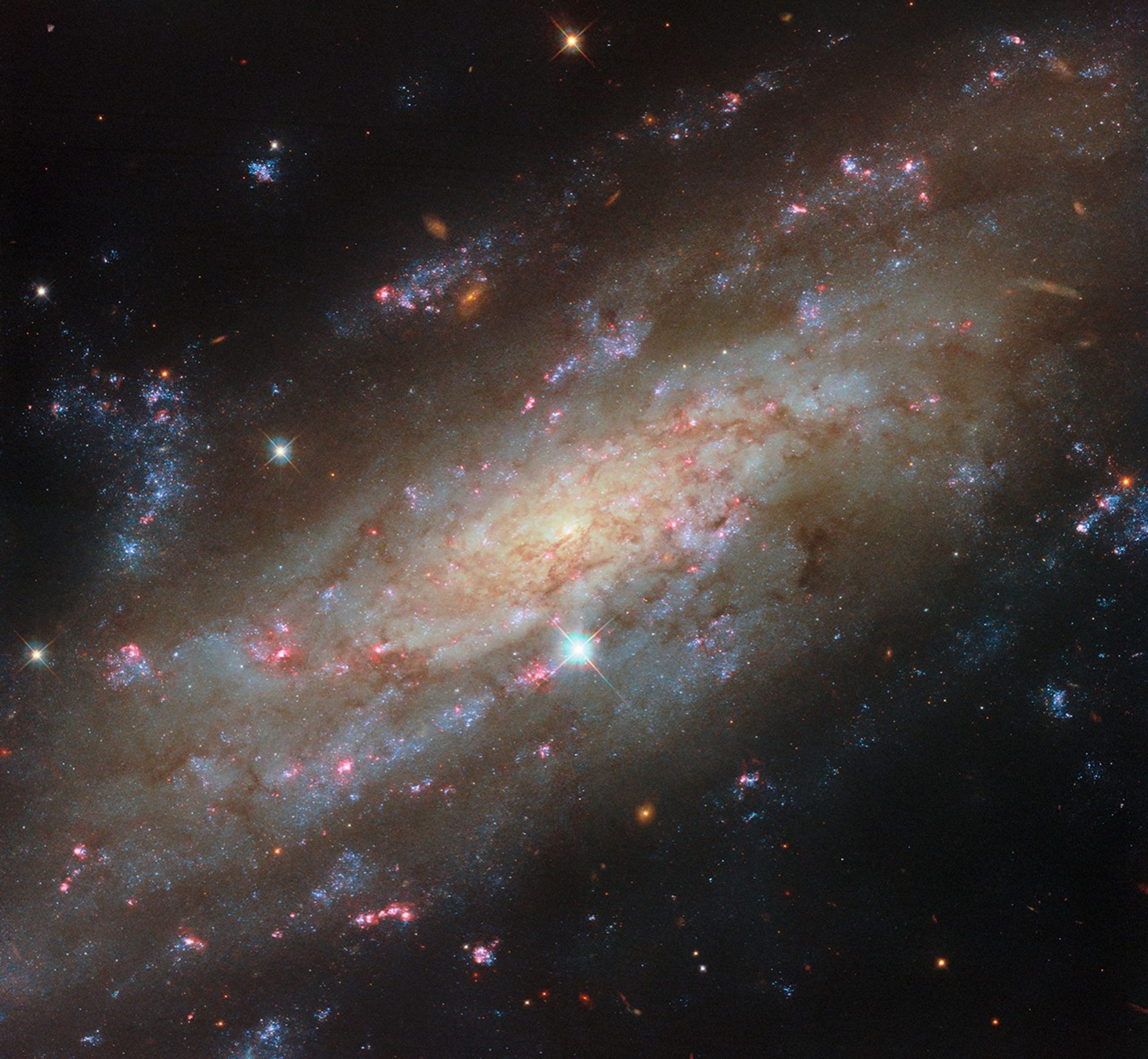 Hubble Spots a Starry Spiral – This NASA Hubble Space Telescope image features the glittering spiral galaxy NGC 3137, located 53 million light-years away in the constellation Antlia (the Air Pump).