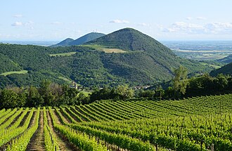 Picture of the day





Euganean Hills are a group of hills of volcanic origin that rise to heights of 300 to 600 m in Veneto, Italy.
 #ImageOfTheDay