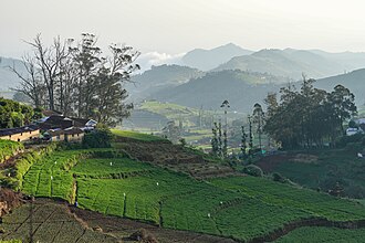 Picture of the day





Fields in the Nilgiri mountains in early morning light, near Ooty, Tamil Nadu, India
 #ImageOfTheDay