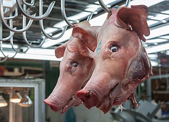 Picture of the day





Pig heads in a market. Today is the Feast of Saint Mark. According to legend, ninth century Venetian sailors smuggled Saint Mark’s relics out of Muslim-controlled Alexandria by covering them with pork.
 #ImageOfTheDay