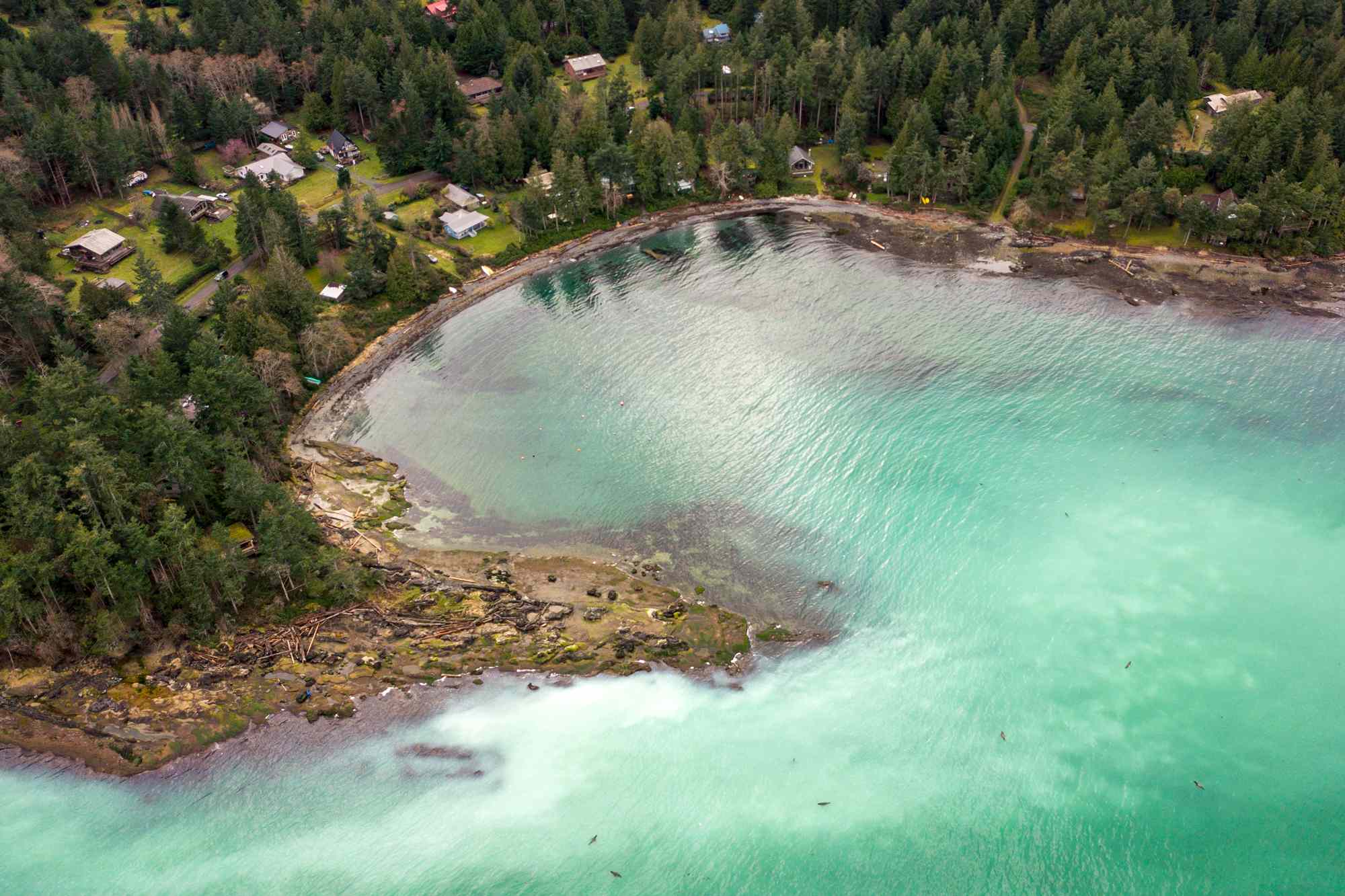 This Tiny Island Is the ‘Hawaii of the North’—and It Has Peaceful Beaches, White Sand, and Crystal-clear Water #Travel It’s also perfect for wildlife spotting, too.