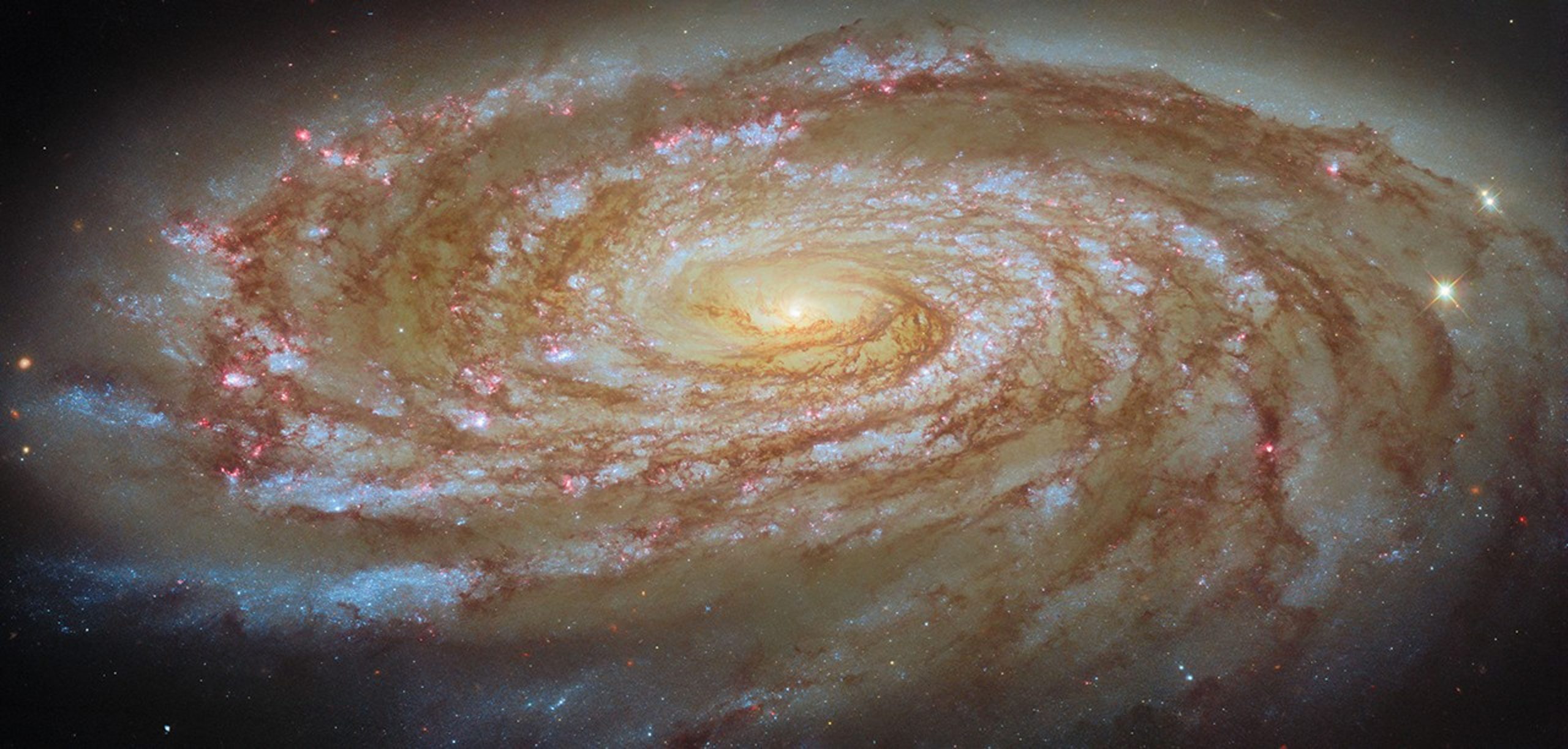 Journey to the Center of the Virgo Cluster – This NASA/ESA Hubble Space Telescope image features the spiral galaxy Messier 88 (M88).