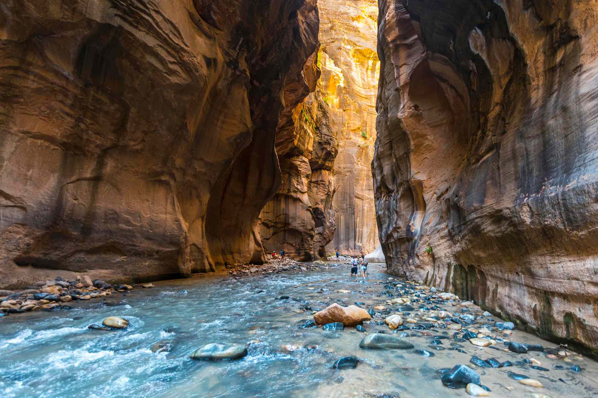 One of the Most Unique National Park Hikes in the U.S. Goes Through a River Canyon With 1,000-foot-tall Sandstone Walls #Travel There’s no other hiking trail quite like The Narrows in Zion National Park.