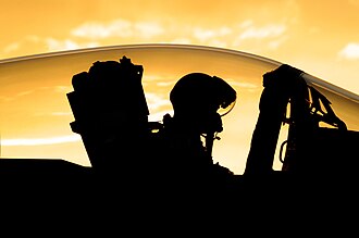 Picture of the day





Lt. Col. Nick Rutgers preparing his F-15 Eagle for flight
 #ImageOfTheDay