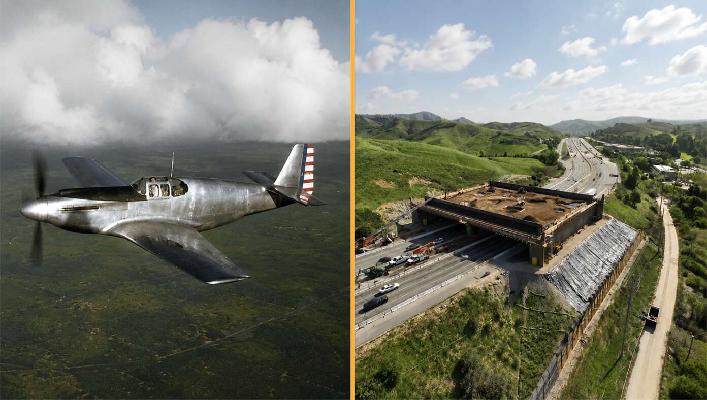 State Where P-51 Mustang Was Built In 102 Days Now Taking 4 Years To Build Bridge For Butterflies #BabylonBee – AGOURA HILLS, CA — Officials working on new construction in California were surprised to learn that their own state, which was struggling to build a bridge for butterflies over the course of four years at a cost of over 0 million, had apparently once developed and built the P-51 Mustang in just 102 days.