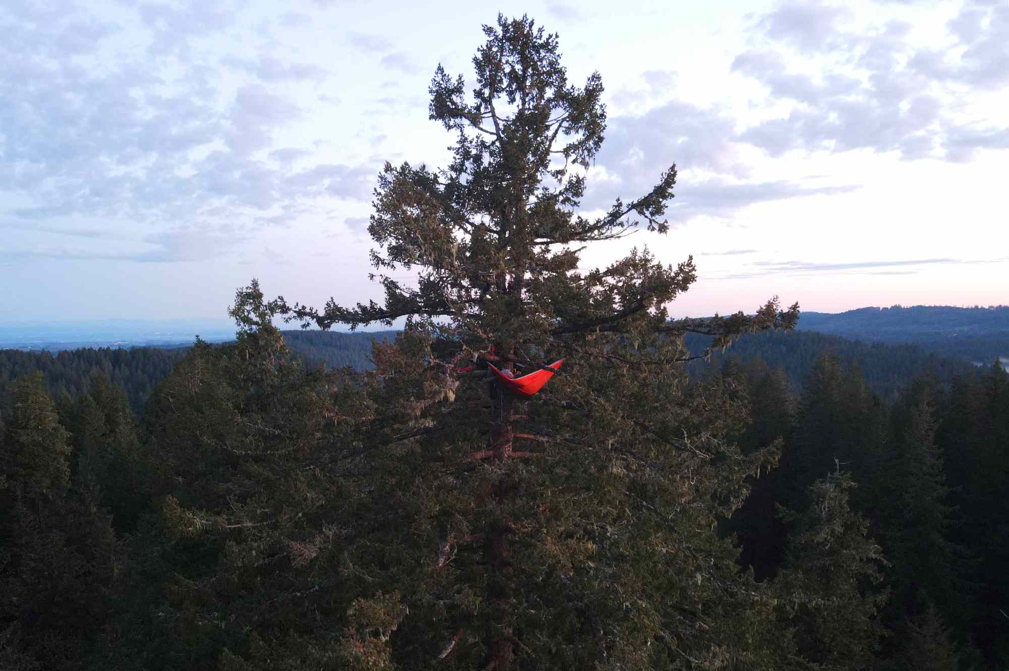 You Can Camp in the Branches of Old-growth Trees in Oregon—and It May Be the Most Unique Overnight Stay in the U.S. #Travel You’ve probably never experienced the great outdoors quite like this.