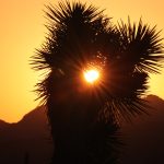 ‘Alone’: Lessons from the wilderness #Catholic – “Therefore, I will now allure her, and bring her into the wilderness, and speak tenderly to her” (Hosea 2:14).
My dad and I have very different tastes in television. When he suggested I might like “Alone” on the History Channel, I was skeptical. However, once I checked out the seasons available on streaming platforms, I was hooked.
“Alone” sends 10 trained survivalists into the wilderness to live off the land. Armed with strict limits on their gear, the individual who lasts the longest wins a 0,000 prize. Unlike other reality shows, the participants do their own camera work.
The newest season, dubbed the “World Championship” because contestants hail from across the globe, premiered June 17.

Click here to subscribe to our weekly newsletter.

What impresses me most about “Alone” is not the display of survival skills, as amazing as they are. Instead, the spiritual journey the participants undergo in the wilderness truly moves me. They might not use that vocabulary, but the description fits. Just like the biblical wilderness, the environment strips participants of almost everything, laying their souls bare. This wilderness experience holds three profound lessons for us all.
— Lesson one: Back to basics —
Modern life generally grants us easy access to our necessities. In North American culture, sufficient food, water and shelter are fairly easy to come by. On “Alone,” each participant must secure food and build shelter in a harsh environment.
In contemporary culture, instead of working directly for food and water, we work for money to buy what we need — and often what we don’t. By stripping away modern conveniences, “Alone” forces participants to experience the raw reality of survival. Watching the show offers a powerful opportunity to assess our own abundance and consider how we might share the bounty the Lord has given us with those who have less.
— Lesson two: Sitting with silence —
Because the survivalists constantly narrate their experiences for the camera, the deep silence they encounter is easy to overlook. Left with only their thoughts for company, they have ample time to evaluate their lives.
Participants display varying levels of comfort with this silence. An early “tap-out” — the show’s term for quitting the competition — often indicates extreme discomfort with the stark silence. Conversely, those who use the silence for self-reflection often tap out simply because the prize money loses its motivating power.
Rich storytelling happens on the screen. Some participants process grief or share challenges from their careers or family lives. Many speak of their children and their desire to pass on their love for the land. While few reference God directly, they allow the silence of the wilderness to help them make sense of their lives and express profound gratitude.
In Catholic life, we find our own “wilderness experience” by going on a retreat. A retreat provides time to step away from the daily pulse of life to connect with God and discern how he might be inviting us to re-assess our priorities. While most retreats are not as physically stark as “Alone,” the time to sit in silence and evaluate our hearts remains a cherished gift.
— Lesson three: What really matters —
Each participant enters the competition intending to win the 0,000. Yet, when the living gets rough, when foraging efforts fail, or when the family photo causes deep homesickness, the survivalists contemplate what truly matters. In the seasons I have watched, stripping away everything grants them a fresh perspective on their highest priority: the people they love.
I find it deeply edifying when a participant decides to tap out not out of weakness, but because they realize no amount of money can replace the time they are losing with family. They show the courage to “fail” in front of a national television audience to put their relationships first. We should all strive for that same courage, prioritizing life-giving relationships over the accumulation of wealth or goods.
— Bonus lessons: Humility and gratitude —
As I watch “Alone,” I think of the millions of other viewers and pray that they feel inspired to cultivate the virtues of humility and gratitude. Seeing how the wilderness strips a person to their very core, leaving them humbled before the power of nature, reminds me that I could use a little more humility myself. Humble people pay more attention to the needs of others rather than their own.
Gratitude also shines through the screen. Witnessing the pure joy of a participant who catches a fish after four days of starvation helps me appreciate the food and blessings in my own life.
“Alone” sends its contestants on an unforgettable journey. As viewers, we enter into their experience, feeling their struggle to survive in some of the harshest conditions on Earth. What they learn about themselves along the way can inspire us to value silence, realign our priorities and come away with a deeper appreciation for the gifts God gives as we humbly thank him for providing all we need.
Sister Hosea Rupprecht, a Daughter of St. Paul, is the associate director of the Pauline Center for Media Studies.
&nbsp;