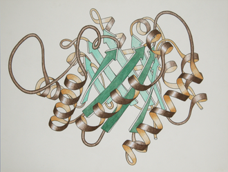 Picture of the day
A 1981 Ribbon schematic of the 3D structure of the protein triose phosphate isomerase by Jane Richardson. Today is voice actress Tajja Isen’s birthday. She voiced Betty Barrett aka the titular hero in the 2004 Canadian animated series Atomic Betty
#ImageOfTheDay Picture of the day
A 1981 Ribbon schematic of the 3D structure of the protein triose phosphate isomerase by Jane Richardson. Today is voice actress Tajja Isen’s birthday. She voiced Betty Barrett aka the titular hero in the 2004 Canadian animated series Atomic Betty
#ImageOfTheDay