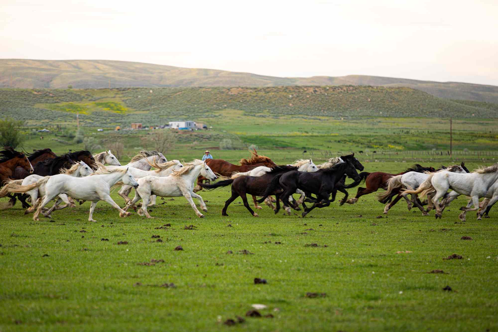 This Mountain Town Is an Affordable Alternative to Jackson Hole—With Rugged Charm, Wild Horses, and a 130-year-old Rodeo #Travel It’s the perfect place to explore the Cowboy State’s stunning landscapes.