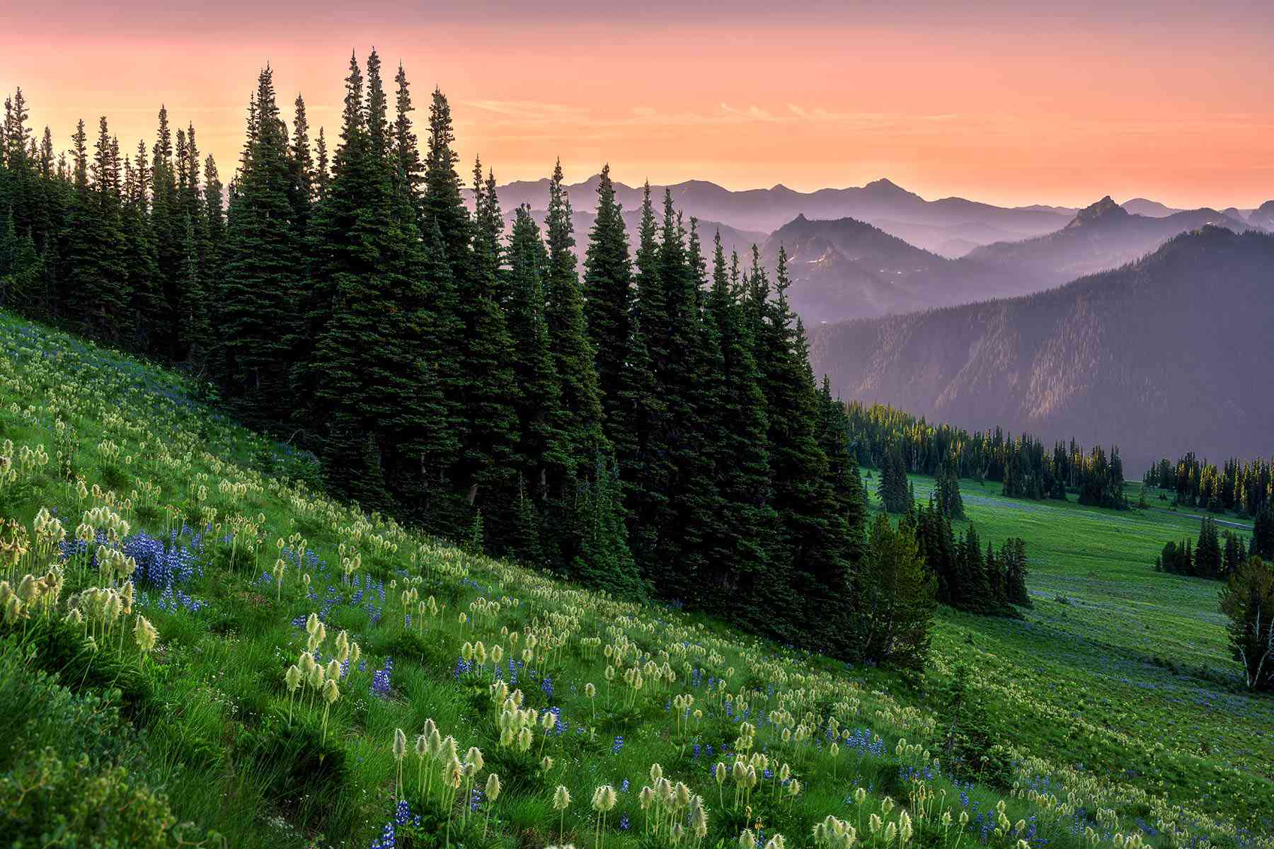 12 Most Beautiful National Parks in the U.S., From the Great Smoky Mountains to Yellowstone #Travel Prepare to be dazzled by America’s natural wonders. 12 Most Beautiful National Parks in the U.S., From the Great Smoky Mountains to Yellowstone #Travel Prepare to be dazzled by America’s natural wonders.