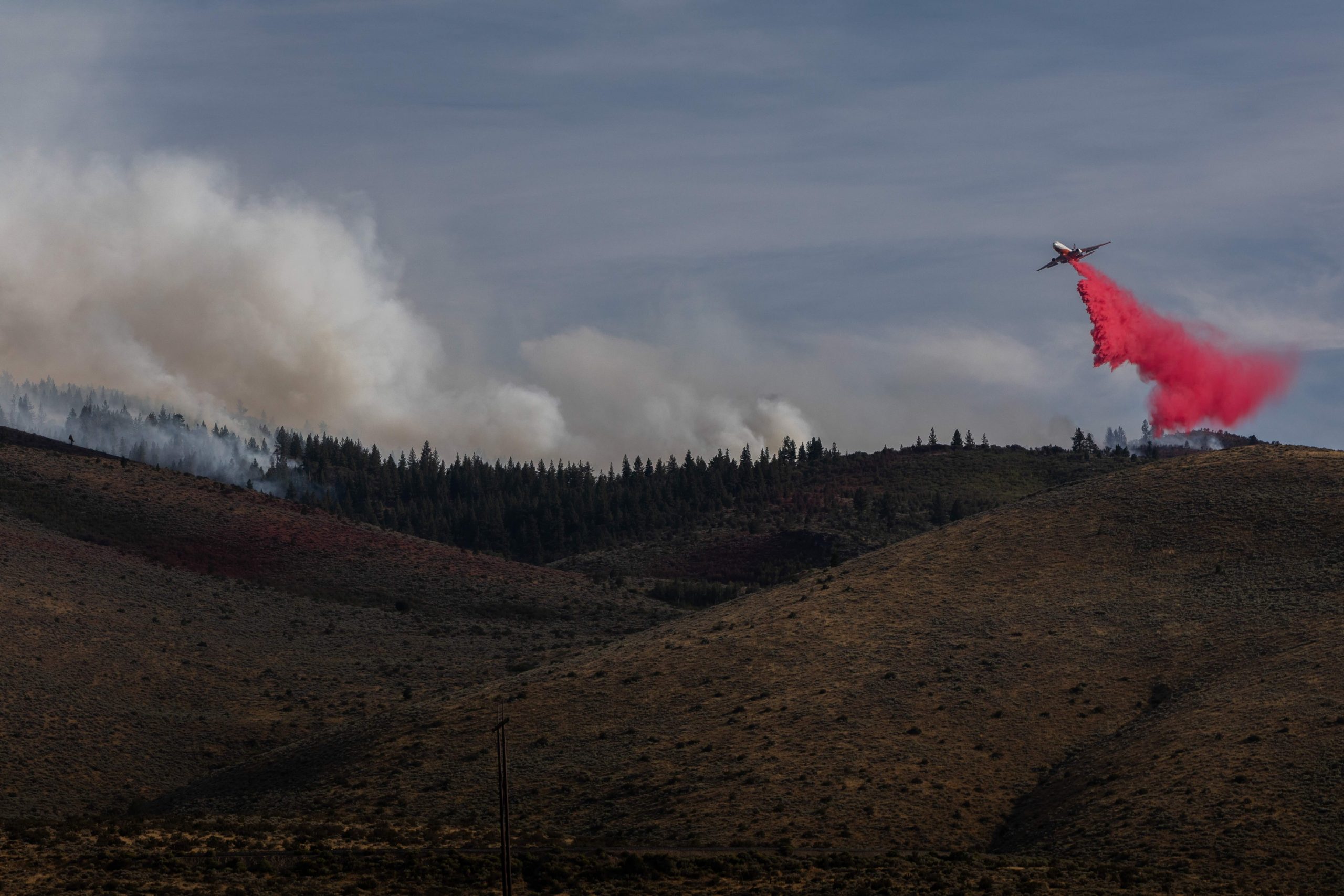 Nevada Catholic churches open doors amid northern Nevada wildfires #Catholic A Nevada wildfire that has leveled homes near Reno, Nevada, and caused the evacuation of about 90,000 residents is expected to burn for another 48 hours.Catholic Charities of Northern Nevada is preparing its response for short- and long-term aid while evacuating employees and volunteers.Marie Baxter, chief executive officer of Catholic Charities of Northern Nevada, said she had a family of six — and their two cats, dog, and rabbit — staying in her office Saturday night.“We have 200 employees and, on a rough estimate, would say that 20% of our staff are evacuated,” she told EWTN News. “We are also navigating assisting our volunteers, as many of whom also are evacuated. Volunteers provide critical manpower in our dining rooms and our food pantry.”Catholic Charities worked with the Red Cross over the weekend while planning to step in for a long-term response.Both St. Thomas Aquinas Cathedral and Holy Cross Catholic Church in Sparks opened doors for overnight guests, according to Baxter.“Over the weekend, we were in regular communication with the Red Cross ready to provide volunteers, food, and other resources,” she said.“Our most intensive role actually comes after the fire as we do all of the long-term case management for individuals referred to us by the Red Cross,” she said. “Red Cross and Washoe County Human Services Agency does the short-term stabilization; we take it from there.”“We are also scaling up our food resources in our food pantry as we know we will see a surge of individuals once they are able to return home and have to throw out perishable foods due to extended power loss,” she said. “Many of those displaced on the north/northwest border of the fire live in lower-income neighborhoods or are seniors on fixed incomes.”Catholic Charities of Northern Nevada has responded to wildfires “in and around our area the past seven years,” according to Baxter.“We help with bridge housing, grocery replacement, household item replacement, et cetera,” she said. “We also help individuals replace essential documents, work with their insurance company (if they have insurance) and generally help them move back toward stability.”“Where this fire burned, there are a lot of lower-income families and a lot of renters,” Baxter said. “There are often multiple families living in houses/trailers on a single land plot. When they are displaced, they are truly displaced.”“Even when they are let back in, they could have damage or loss that makes it impossible for them to stay,” Baxter continued. “Just finding a new place and coming up with first/last monthʼs rent can be a huge barrier; tack on replacing your food, getting your kiddos back in school … this is where we shine at accompaniment.”Hawk Fire Service did not yet have an anticipated timeline for when the nearly 90,000 evacuated people will be able to return to the area. The cause for the fire was identified as “human” by Hawk Fire. Officials anticipated that hot, dry, breezy conditions will spread the fire. There were a reported six people injured, three of whom were emergency responders.“While the evacuation orders are still in place, we are stocking our pantry with additional food and extending what is available in our Essentials Closet so we can help individuals who need items while at the evacuation shelters or while they are staying with friends and family,” Baxter said. Nevada Catholic churches open doors amid northern Nevada wildfires #Catholic A Nevada wildfire that has leveled homes near Reno, Nevada, and caused the evacuation of about 90,000 residents is expected to burn for another 48 hours.Catholic Charities of Northern Nevada is preparing its response for short- and long-term aid while evacuating employees and volunteers.Marie Baxter, chief executive officer of Catholic Charities of Northern Nevada, said she had a family of six — and their two cats, dog, and rabbit — staying in her office Saturday night.“We have 200 employees and, on a rough estimate, would say that 20% of our staff are evacuated,” she told EWTN News. “We are also navigating assisting our volunteers, as many of whom also are evacuated. Volunteers provide critical manpower in our dining rooms and our food pantry.”Catholic Charities worked with the Red Cross over the weekend while planning to step in for a long-term response.Both St. Thomas Aquinas Cathedral and Holy Cross Catholic Church in Sparks opened doors for overnight guests, according to Baxter.“Over the weekend, we were in regular communication with the Red Cross ready to provide volunteers, food, and other resources,” she said.“Our most intensive role actually comes after the fire as we do all of the long-term case management for individuals referred to us by the Red Cross,” she said. “Red Cross and Washoe County Human Services Agency does the short-term stabilization; we take it from there.”“We are also scaling up our food resources in our food pantry as we know we will see a surge of individuals once they are able to return home and have to throw out perishable foods due to extended power loss,” she said. “Many of those displaced on the north/northwest border of the fire live in lower-income neighborhoods or are seniors on fixed incomes.”Catholic Charities of Northern Nevada has responded to wildfires “in and around our area the past seven years,” according to Baxter.“We help with bridge housing, grocery replacement, household item replacement, et cetera,” she said. “We also help individuals replace essential documents, work with their insurance company (if they have insurance) and generally help them move back toward stability.”“Where this fire burned, there are a lot of lower-income families and a lot of renters,” Baxter said. “There are often multiple families living in houses/trailers on a single land plot. When they are displaced, they are truly displaced.”“Even when they are let back in, they could have damage or loss that makes it impossible for them to stay,” Baxter continued. “Just finding a new place and coming up with first/last monthʼs rent can be a huge barrier; tack on replacing your food, getting your kiddos back in school … this is where we shine at accompaniment.”Hawk Fire Service did not yet have an anticipated timeline for when the nearly 90,000 evacuated people will be able to return to the area. The cause for the fire was identified as “human” by Hawk Fire. Officials anticipated that hot, dry, breezy conditions will spread the fire. There were a reported six people injured, three of whom were emergency responders.“While the evacuation orders are still in place, we are stocking our pantry with additional food and extending what is available in our Essentials Closet so we can help individuals who need items while at the evacuation shelters or while they are staying with friends and family,” Baxter said.