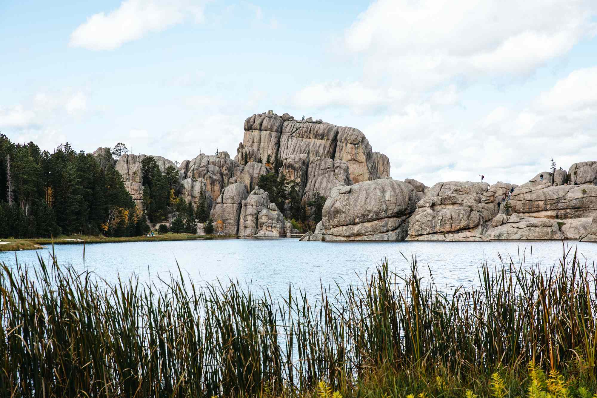 This 71,000-acre State Park in South Dakota Boasts Scenic Drives, Dramatic Rock Formations, and a Massive Bison Herd #Travel Use these expert tips to plan a trip to Custer State Park. This 71,000-acre State Park in South Dakota Boasts Scenic Drives, Dramatic Rock Formations, and a Massive Bison Herd #Travel Use these expert tips to plan a trip to Custer State Park.