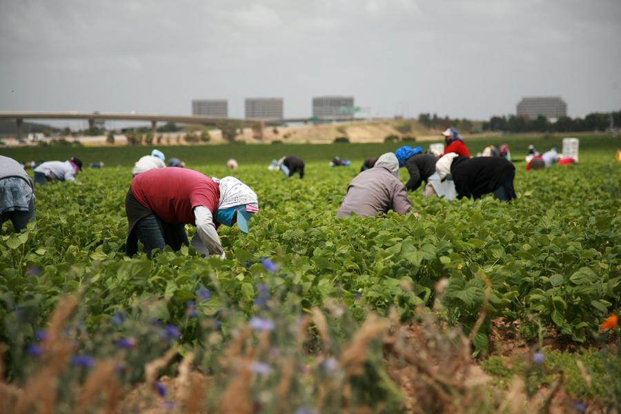 The Catholic Church has a lot to say about Labor Day — why? #Catholic As the U.S. celebrates Labor Day, Catholics have a wealth of resources in biblical interpretation, Church teaching, and social thought that address the nature of work and the place of the worker in society and in God’s creation.But are Catholics, and others, aware of these resources?One Catholic leader considering such questions is Father Sinclair Oubre, a priest of the Diocese of Beaumont, Texas. He is the spiritual moderator of the Catholic Labor Network, a Catholic association that promotes Catholic teaching about work and labor unions. It also supports labor organizing.“All work, no matter what the work is, is essential,” Oubre likes to say. In his view, if a woman in janitorial work at a major software company does not show up to clean the toilets and empty the trash, all production in the office will nosedive.Centuries of Catholic teaching about labor can be found compiled in the Compendium of the Social Doctrine of the Church, published in 2004 by the Pontifical Commission for Justice and Peace. It dedicates its entire sixth chapter to human work and labor, its place in God’s plan, its role in society, and the rights and duties of workers.“The Compendium gathers together in one place those rights that are found in Catholic social teaching, whether it’s Rerum Novarum, or Quadragesimo Anno, or Centesimus Annus, and synthesizes them,” Oubre told EWTN News, referring to the respective encyclicals of popes Leo XIII, Pius XI, and John Paul II.“It’s a beautiful reflection on human work in the world and a very mature and in-depth discussion of the place of work, the place of labor, and the communal nature of it,” Oubre said.Labor, politics, and spiritualityOubre said Catholic teaching is a challenge regardless of people’s political views.“It’s a challenge to the right, but it’s also a challenge to the left,” he said. Catholicism encourages those on the political right not simply to pray novenas and commit themselves to spiritual actions. It is a challenge not to leave other questions about work and labor to the market.For the political left, Catholic social teaching “means you have to enter into a more intimate relationship with your Church and your relationship with Jesus and not just be as a social justice person by throwing a couple of little quotes around. It requires you to enter into that deeper spiritual relationship.”Oubre stressed the importance of starting from the view of Catholic spirituality, not only social justice, because if we don’t, our approach “becomes ideological and polemic.” The spiritual approach “brings us closer to Jesus Christ.”“No matter how dirty, how uncomfortable, how awful the job is, we are participating in God’s ongoing creation. It’s important that we do that job in a way that gives glory to God,” Oubre said.God and man at workThe Compendium’s reflection on work begins with its biblical aspects: There is a human duty to “cultivate and care for the earth” and other good things created by God, it says. Work existed before the fall of Adam and Eve, and it is not a punishment or curse until the break with God transforms it into “toil and pain.” However, God’s rest on the seventh day of creation is the sign of the “fuller freedom” of the “eternal Sabbath.”The life of Jesus Christ is a mission of work, from his early life helping St. Joseph in the work of a carpenter to his ministry of preaching and healing, and most of all in his redemptive labors on the cross.The Compendium presents human labor as a way of supporting oneself and one’s loved ones but also a way to serve those in need. Work is a way to make God’s creation more beautiful, since humankind shares in God’s art and wisdom.“Human work, directed to charity as its final goal, becomes an occasion for contemplation, it becomes devout prayer, vigilantly rising towards and in anxious hope of the day that will not end,” the Compendium says.The rights of laborGod’s rest on the seventh day of creation, the Compendium says, means men and women must enjoy “sufficient rest and free time that will allow them to tend to their family, cultural, social, and religious life.”The Compendium outlines and explains the many rights of workers: the right to rest from work; the right to a working environment that is not harmful to a worker’s health or moral integrity; the right to unemployment protections; the right to a pension and insurance for old age, disability, and work-related accidents; the right to social security for working mothers; and the right to assemble and form associations; the right to just wages and remuneration; and the right to strike.Labor unions play a “fundamental role” in serving the common good and promoting social order and solidarity, though they must not abuse their role in society or become simply arms of a political party.“The recognition of workers’ rights has always been a difficult problem to resolve because this recognition takes place within complex historical and institutional processes, and still today it remains incomplete,” the Compendium says. “This makes the practice of authentic solidarity among workers more fitting and necessary than ever.”A challenge for Catholics and institutionsCatholic teaching has a lengthy paper record. But as in other areas, there is a challenge to practice it.“What I find over and over again that the Church — our Church — gives us wonderful documents of guidance… and we never go back and read them,” Oubre told EWTN News.He cited the U.S. Conference of Catholic Bishops’ 1996 pastoral letter “Economic Justice for All,” which says the Church should be a model for labor rights and treating workers justly.However, Oubre said that in his experience Catholic parishes often neglect to provide unemployment insurance to employees if the law allows them to opt out. Catholic institutions often act as “at-will” employers in which management can fire employees for any reason. They may show preferences for nonunion labor over unionized labor when planning and funding construction projects.“You’re going to undercut the guy who has actually followed the Church’s teachings in regards to work by hiring somebody who may be not offering medical insurance for his employees,” the priest lamented.For Labor Day, Oubre encouraged parishes, dioceses, and other institutions to make sure to adopt policies that put Catholic labor teaching into practice.This story was first published on Sept. 4, 2023, and has been updated. The Catholic Church has a lot to say about Labor Day — why? #Catholic As the U.S. celebrates Labor Day, Catholics have a wealth of resources in biblical interpretation, Church teaching, and social thought that address the nature of work and the place of the worker in society and in God’s creation.But are Catholics, and others, aware of these resources?One Catholic leader considering such questions is Father Sinclair Oubre, a priest of the Diocese of Beaumont, Texas. He is the spiritual moderator of the Catholic Labor Network, a Catholic association that promotes Catholic teaching about work and labor unions. It also supports labor organizing.“All work, no matter what the work is, is essential,” Oubre likes to say. In his view, if a woman in janitorial work at a major software company does not show up to clean the toilets and empty the trash, all production in the office will nosedive.Centuries of Catholic teaching about labor can be found compiled in the Compendium of the Social Doctrine of the Church, published in 2004 by the Pontifical Commission for Justice and Peace. It dedicates its entire sixth chapter to human work and labor, its place in God’s plan, its role in society, and the rights and duties of workers.“The Compendium gathers together in one place those rights that are found in Catholic social teaching, whether it’s Rerum Novarum, or Quadragesimo Anno, or Centesimus Annus, and synthesizes them,” Oubre told EWTN News, referring to the respective encyclicals of popes Leo XIII, Pius XI, and John Paul II.“It’s a beautiful reflection on human work in the world and a very mature and in-depth discussion of the place of work, the place of labor, and the communal nature of it,” Oubre said.Labor, politics, and spiritualityOubre said Catholic teaching is a challenge regardless of people’s political views.“It’s a challenge to the right, but it’s also a challenge to the left,” he said. Catholicism encourages those on the political right not simply to pray novenas and commit themselves to spiritual actions. It is a challenge not to leave other questions about work and labor to the market.For the political left, Catholic social teaching “means you have to enter into a more intimate relationship with your Church and your relationship with Jesus and not just be as a social justice person by throwing a couple of little quotes around. It requires you to enter into that deeper spiritual relationship.”Oubre stressed the importance of starting from the view of Catholic spirituality, not only social justice, because if we don’t, our approach “becomes ideological and polemic.” The spiritual approach “brings us closer to Jesus Christ.”“No matter how dirty, how uncomfortable, how awful the job is, we are participating in God’s ongoing creation. It’s important that we do that job in a way that gives glory to God,” Oubre said.God and man at workThe Compendium’s reflection on work begins with its biblical aspects: There is a human duty to “cultivate and care for the earth” and other good things created by God, it says. Work existed before the fall of Adam and Eve, and it is not a punishment or curse until the break with God transforms it into “toil and pain.” However, God’s rest on the seventh day of creation is the sign of the “fuller freedom” of the “eternal Sabbath.”The life of Jesus Christ is a mission of work, from his early life helping St. Joseph in the work of a carpenter to his ministry of preaching and healing, and most of all in his redemptive labors on the cross.The Compendium presents human labor as a way of supporting oneself and one’s loved ones but also a way to serve those in need. Work is a way to make God’s creation more beautiful, since humankind shares in God’s art and wisdom.“Human work, directed to charity as its final goal, becomes an occasion for contemplation, it becomes devout prayer, vigilantly rising towards and in anxious hope of the day that will not end,” the Compendium says.The rights of laborGod’s rest on the seventh day of creation, the Compendium says, means men and women must enjoy “sufficient rest and free time that will allow them to tend to their family, cultural, social, and religious life.”The Compendium outlines and explains the many rights of workers: the right to rest from work; the right to a working environment that is not harmful to a worker’s health or moral integrity; the right to unemployment protections; the right to a pension and insurance for old age, disability, and work-related accidents; the right to social security for working mothers; and the right to assemble and form associations; the right to just wages and remuneration; and the right to strike.Labor unions play a “fundamental role” in serving the common good and promoting social order and solidarity, though they must not abuse their role in society or become simply arms of a political party.“The recognition of workers’ rights has always been a difficult problem to resolve because this recognition takes place within complex historical and institutional processes, and still today it remains incomplete,” the Compendium says. “This makes the practice of authentic solidarity among workers more fitting and necessary than ever.”A challenge for Catholics and institutionsCatholic teaching has a lengthy paper record. But as in other areas, there is a challenge to practice it.“What I find over and over again that the Church — our Church — gives us wonderful documents of guidance… and we never go back and read them,” Oubre told EWTN News.He cited the U.S. Conference of Catholic Bishops’ 1996 pastoral letter “Economic Justice for All,” which says the Church should be a model for labor rights and treating workers justly.However, Oubre said that in his experience Catholic parishes often neglect to provide unemployment insurance to employees if the law allows them to opt out. Catholic institutions often act as “at-will” employers in which management can fire employees for any reason. They may show preferences for nonunion labor over unionized labor when planning and funding construction projects.“You’re going to undercut the guy who has actually followed the Church’s teachings in regards to work by hiring somebody who may be not offering medical insurance for his employees,” the priest lamented.For Labor Day, Oubre encouraged parishes, dioceses, and other institutions to make sure to adopt policies that put Catholic labor teaching into practice.This story was first published on Sept. 4, 2023, and has been updated.