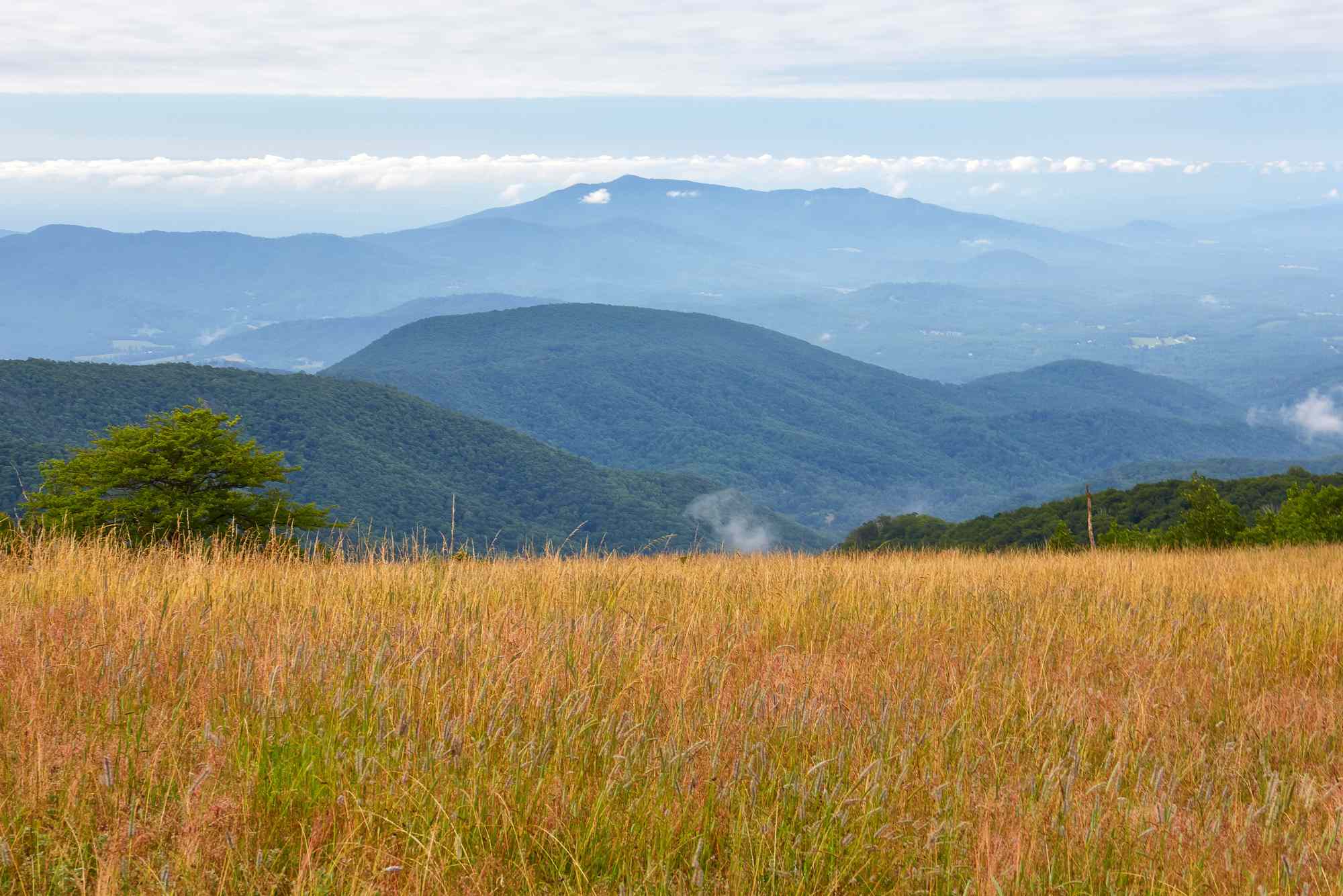 This Small Town in the Blue Ridge Mountains Is an Ideal Fall Getaway With Food Festivals and Stunning Foliage #Travel Amherst, Virginia, shines brightest in October—here’s how to plan a trip.