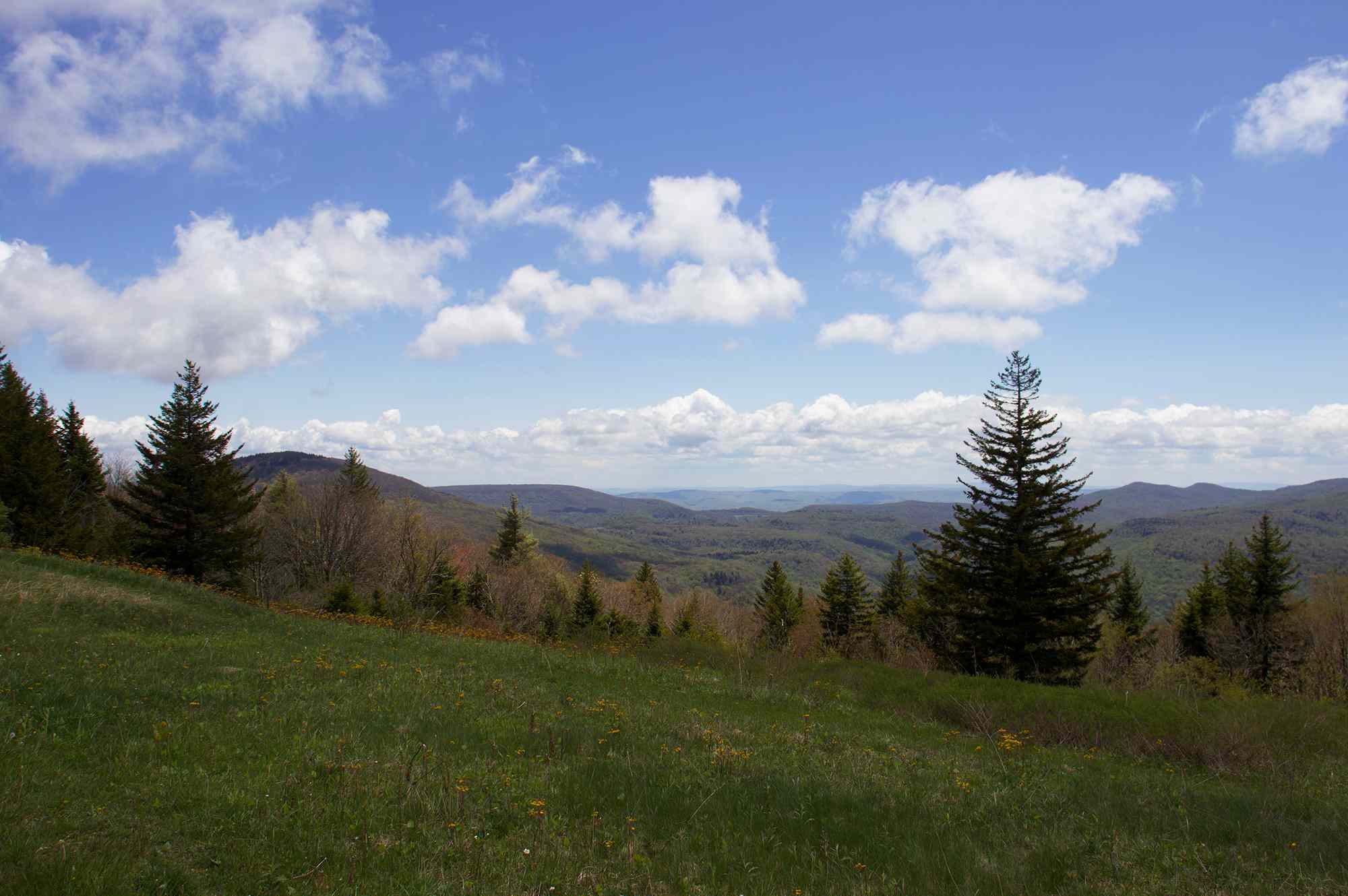 This West Virginia Wilderness Is One of the Most Peaceful Places in the U.S.—and It Has Stunning Fall Foliage #Travel Beautiful in every season, the Cranberry Wilderness offers miles of hiking trails and waterfalls. This West Virginia Wilderness Is One of the Most Peaceful Places in the U.S.—and It Has Stunning Fall Foliage #Travel Beautiful in every season, the Cranberry Wilderness offers miles of hiking trails and waterfalls.